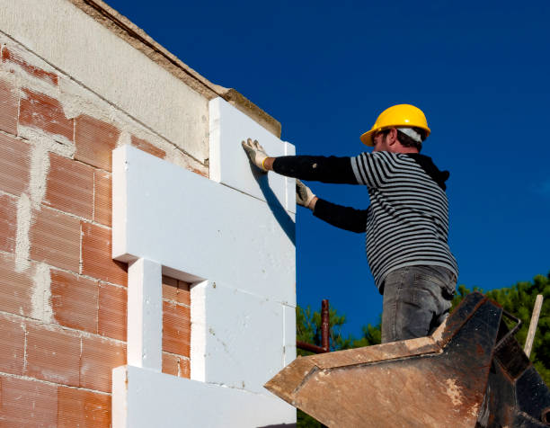 Best Best Insulation Companies  in Mount Olive, MS