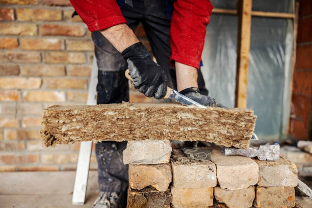 Best Insulation Installation Cost  in Mount Olive, MS