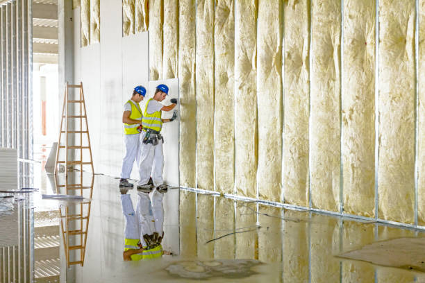 Best Affordable Insulation Services  in Mount Olive, MS